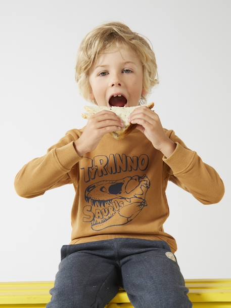 Jongenssweater Basics met grafische motieven pecannoot - vertbaudet enfant 