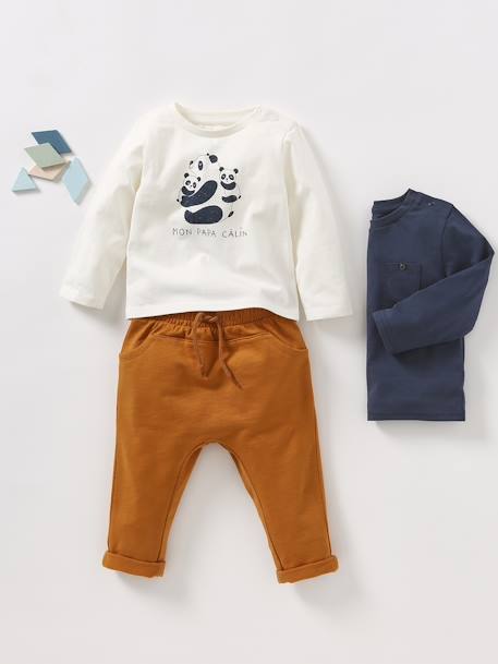 Set van 2 T-shirts Basics baby lange mouwen ecru+pecannoot - vertbaudet enfant 