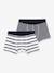 Set van 2 gestreepte boxershorts PETIT BATEAU veel wit - vertbaudet enfant 