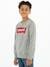 Sweater voor jongens Batwing Crewneck van Levi's® grijs - vertbaudet enfant 