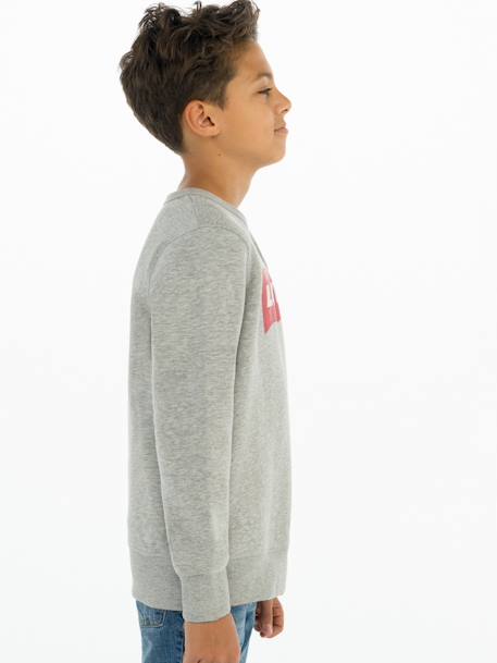 Sweater voor jongens Batwing Crewneck van Levi's® grijs - vertbaudet enfant 