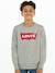 Sweater voor jongens Batwing Crewneck van Levi's® grijs - vertbaudet enfant 