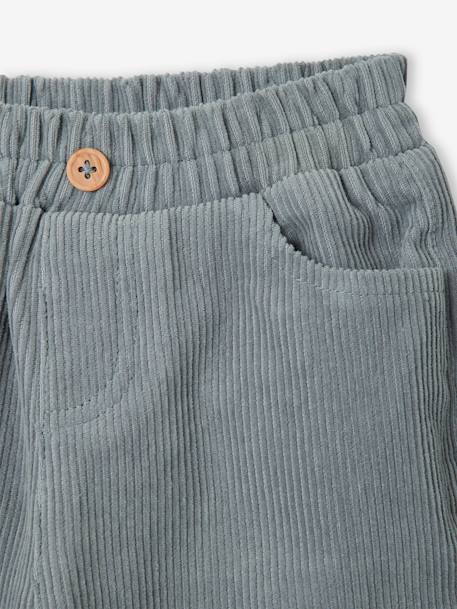 Corduroy babybroek grijsblauw+korstmos+nachtblauw - vertbaudet enfant 