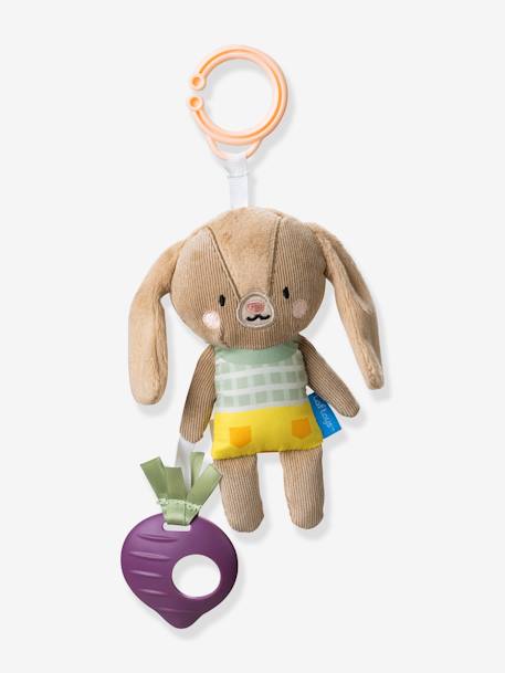 Set activiteitenspeelgoed - TAF TOYS meerkleurig - vertbaudet enfant 