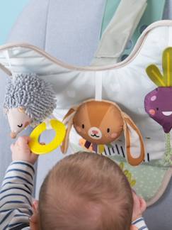 Speelgoed-Eerste levensjaren-Knuffels en knuffeldoekjes-Speelgoed tuinwagen - TAF TOYS