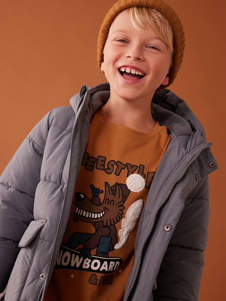 Jongens-T-shirt met fantasieprint van gerecycled katoen grijsblauw+pecannoot - vertbaudet enfant 