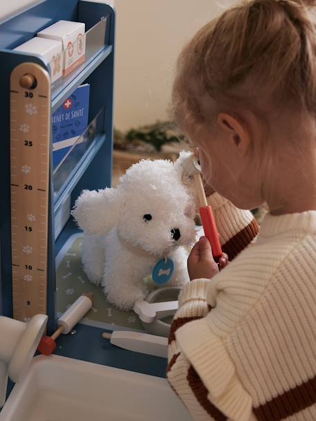 Dierenartspraktijk in FSC® hout hout - vertbaudet enfant 