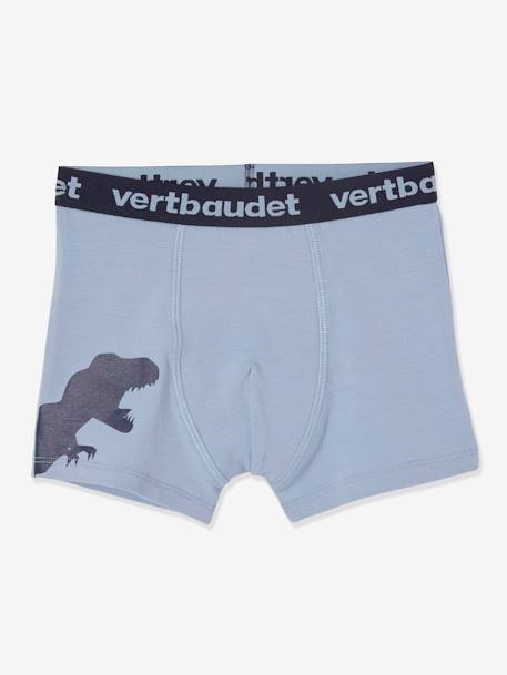 Set van 5 stretchboxers voor jongens Dino's Oeko-Tex® Lot BOB dino - vertbaudet enfant 