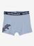 Set van 5 stretchboxers voor jongens Dino's Oeko-Tex® Lot BOB dino - vertbaudet enfant 