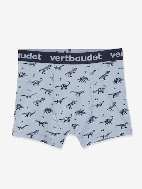 Set van 5 stretchboxers voor jongens Dino's Oeko-Tex® Lot BOB dino - vertbaudet enfant 