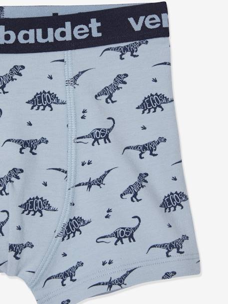 Set van 5 stretchboxers voor jongens Dino's Oeko-Tex® Lot BOB dino - vertbaudet enfant 