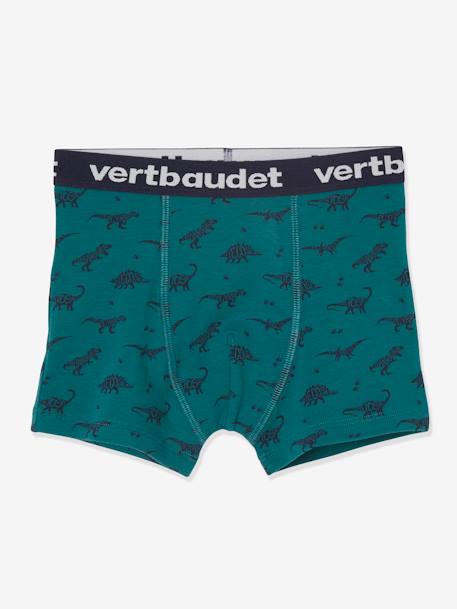 Set van 5 stretchboxers voor jongens Dino's Oeko-Tex® Lot BOB dino - vertbaudet enfant 