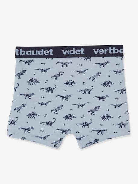 Set van 5 stretchboxers voor jongens Dino's Oeko-Tex® Lot BOB dino - vertbaudet enfant 