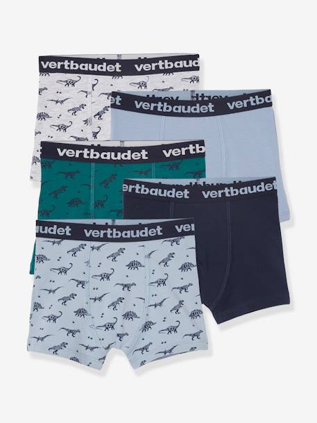 Set van 5 stretchboxers voor jongens Dino's Oeko-Tex® Lot BOB dino - vertbaudet enfant 