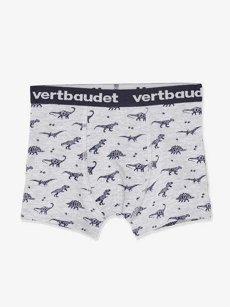 Set van 5 stretchboxers voor jongens Dino's Oeko-Tex® Lot BOB dino - vertbaudet enfant 