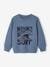 Jongenssweater Basics met grafische motieven grijsblauw+pistache - vertbaudet enfant 