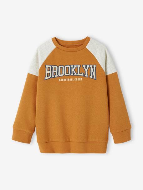 Jongenssweater met colourblock en team Brooklyn opdruk koningsblauw+pecannoot - vertbaudet enfant 