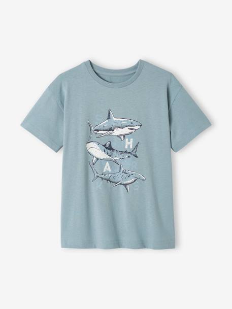 Jongensshirt dierenmotief antraciet+ecru+grijsblauw - vertbaudet enfant 