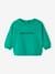 Basic sweater van molton baby's blauw+mintgroen - vertbaudet enfant 