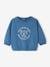 Basic sweater van molton baby's blauw+mintgroen - vertbaudet enfant 