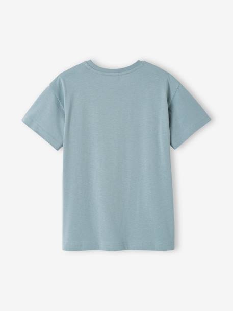 Jongensshirt dierenmotief antraciet+ecru+grijsblauw - vertbaudet enfant 