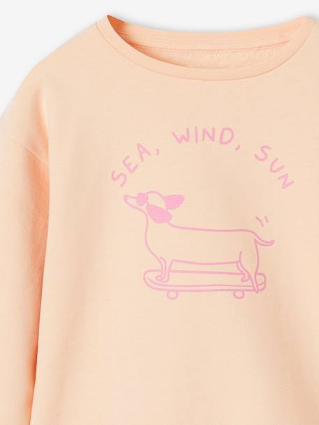 Basic meisjessweater met motief abrikoos+gemêleerd grijs - vertbaudet enfant 