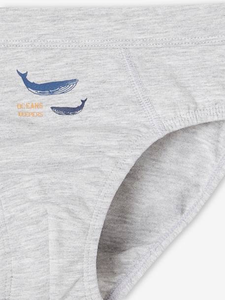 Set met 7 stretch jongensslips walvissen van biokatoen hemelsblauw - vertbaudet enfant 