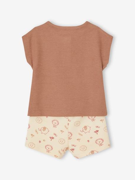 Geboorteset: Tunesisch T-shirt + babyshort mokka - vertbaudet enfant 