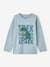 T-shirt grafisch motief gemêleerd grijs+hemelsblauw - vertbaudet enfant 