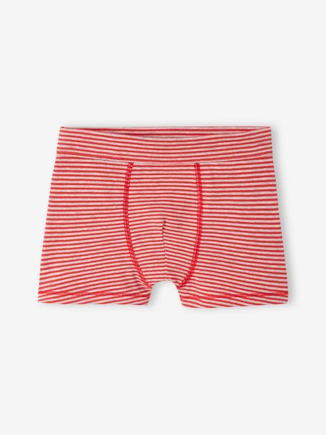 Set met 7 stretch jongensboxers beer van biokatoen koningsblauw - vertbaudet enfant 