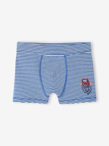 Set met 7 stretch jongensboxers beer van biokatoen koningsblauw - vertbaudet enfant 