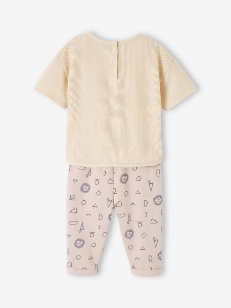 Babyset T-shirt met honingraat en broek van molton ecru - vertbaudet enfant 