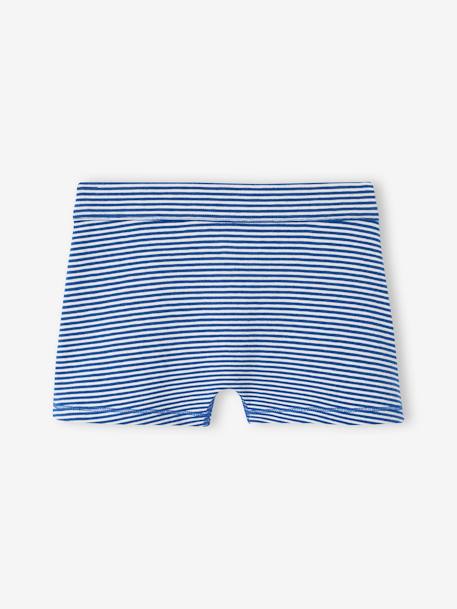 Set met 7 stretch jongensboxers beer van biokatoen koningsblauw - vertbaudet enfant 