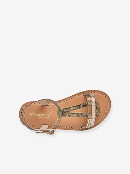 Leren kindersandalen Bada LES TROPEZIENNES® PAR M. BELARBI brons+goudbeige - vertbaudet enfant 