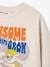 Sweatshirt jongens Paw Patrol® gemêleerd beige - vertbaudet enfant 