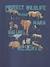 Jongensshirt dierenprint Basics gemêleerd grijs+leiblauw - vertbaudet enfant 