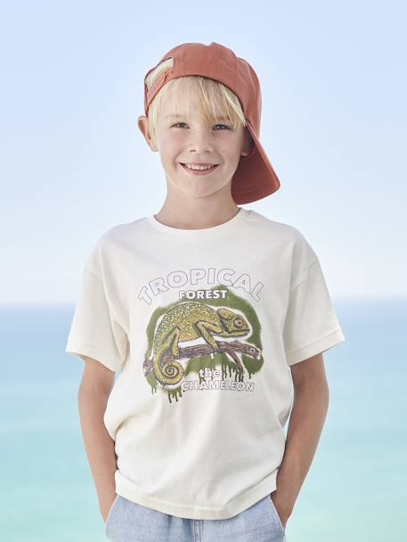 Jongensshirt dierenmotief antraciet+ecru+grijsblauw - vertbaudet enfant 