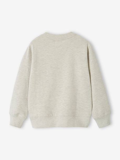 Jongenssweater Basics met grafische motieven abrikoos+gemêleerd beige+pistache - vertbaudet enfant 
