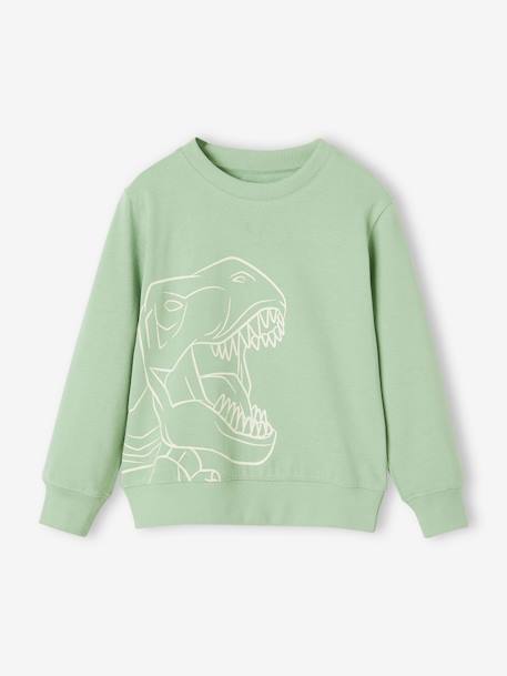 Jongenssweater Basics met grafische motieven abrikoos+gemêleerd beige+pistache - vertbaudet enfant 