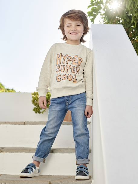 Jongenssweater Basics met grafische motieven abrikoos+gemêleerd beige+grijsblauw+pistache - vertbaudet enfant 