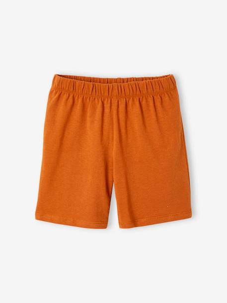 Set van 2 pyjashorts voor jongens hazelnoot - vertbaudet enfant 