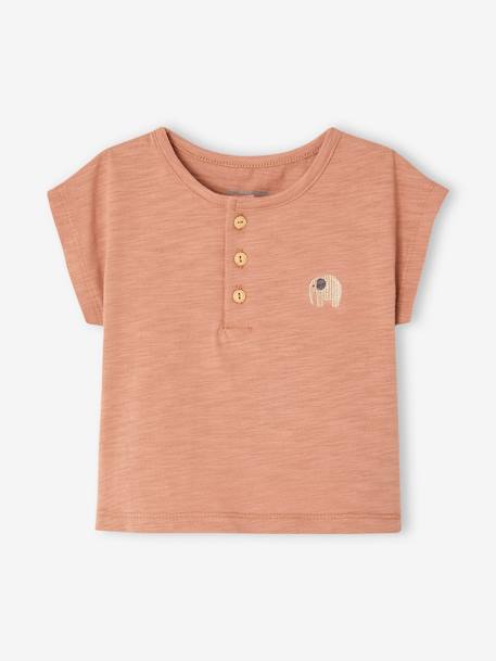 Babyset met T-shirt en short mintgroen+mokka - vertbaudet enfant 