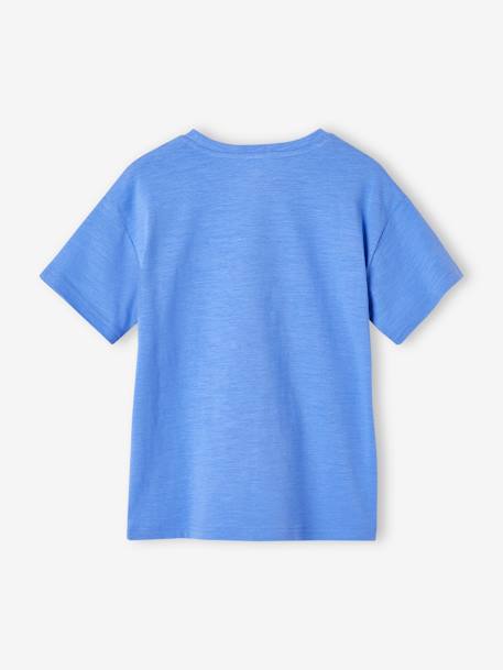 Jongensshirt met leuk dierenmotief azuurblauw+turquoiseblauw+wit - vertbaudet enfant 