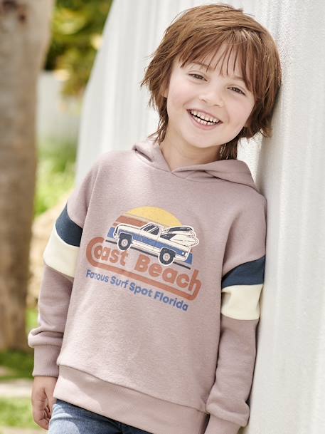 Grafische hoodie met colorblock mouwen voor jongens zachtpaars - vertbaudet enfant 