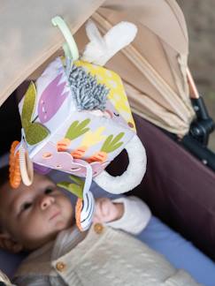 Speelgoed-Eerste levensjaren-Knuffels en knuffeldoekjes-Activiteitenkubus tuin - TAF TOYS