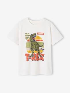 Jongens-T-shirt, poloshirt, souspull-Jongens-T-shirt dino