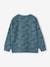 Jongensshirt in sweaterlook met print blauwgroen+ecru+okergeel - vertbaudet enfant 