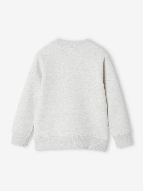 Jongenssweater Basics met grafische motieven gemêleerd wit+middenblauw+saliegroen - vertbaudet enfant 