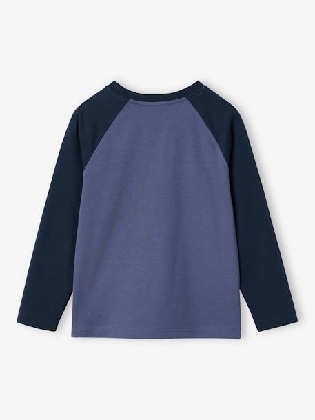 Oeko-Tex® grafisch jongens-T-shirt met raglanmouwen BLAUW+gemêleerd grijs+korstmos+leiblauw+pecannoot - vertbaudet enfant 