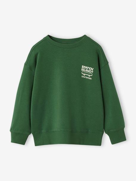 Jongenssweater met motief op de borst Engels groen+groen+leiblauw+okergeel - vertbaudet enfant 